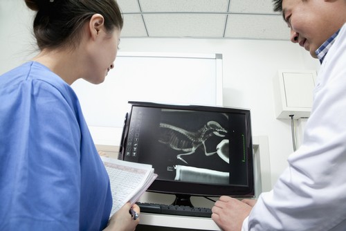 Advanced Digital X-rays  Gurabo, PR