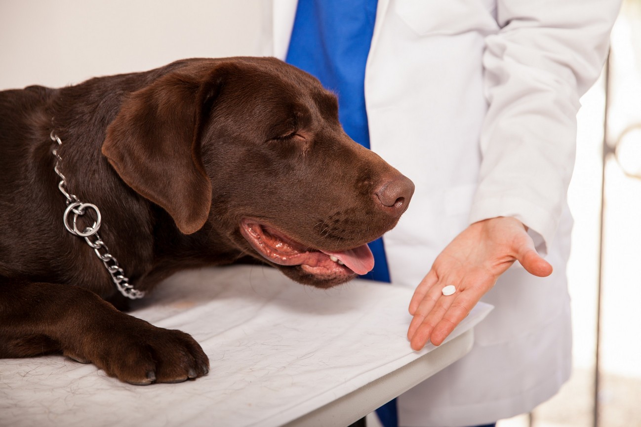 Preventative Care  Gurabo, PR